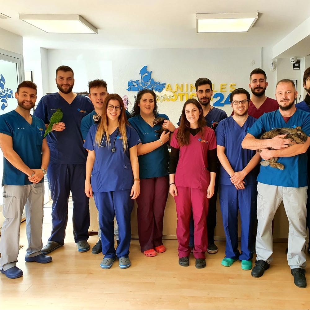 Animales Exóticos 24h-Centro Veterinarios-Milla de Oro-Barrio Salamanca-imagen-1