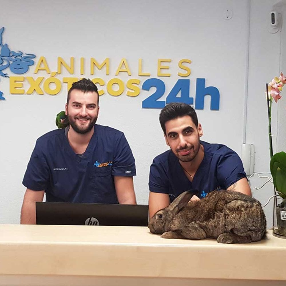 Animales Exóticos 24h-Centro Veterinarios-Milla de Oro-Barrio Salamanca-imagen-2