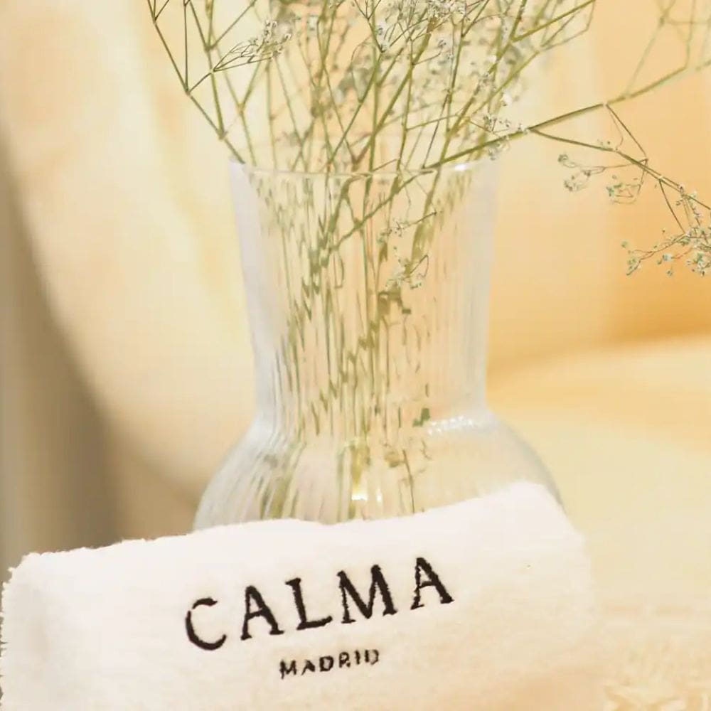 Calma Madrid-masajes y fisioterapias-Milla de Oro-Barrio Salamanca-imagen-4