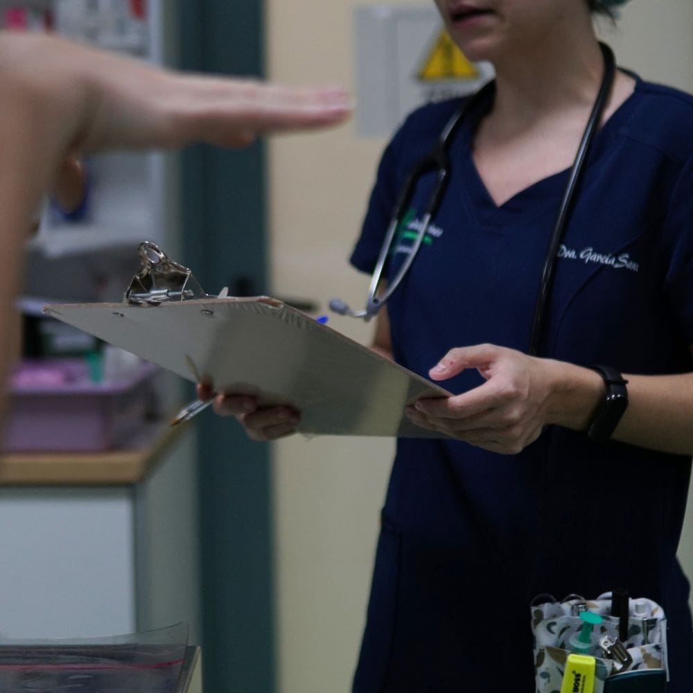 Clinicas Veterinarias – Barrio Salamanca – Imagen 4