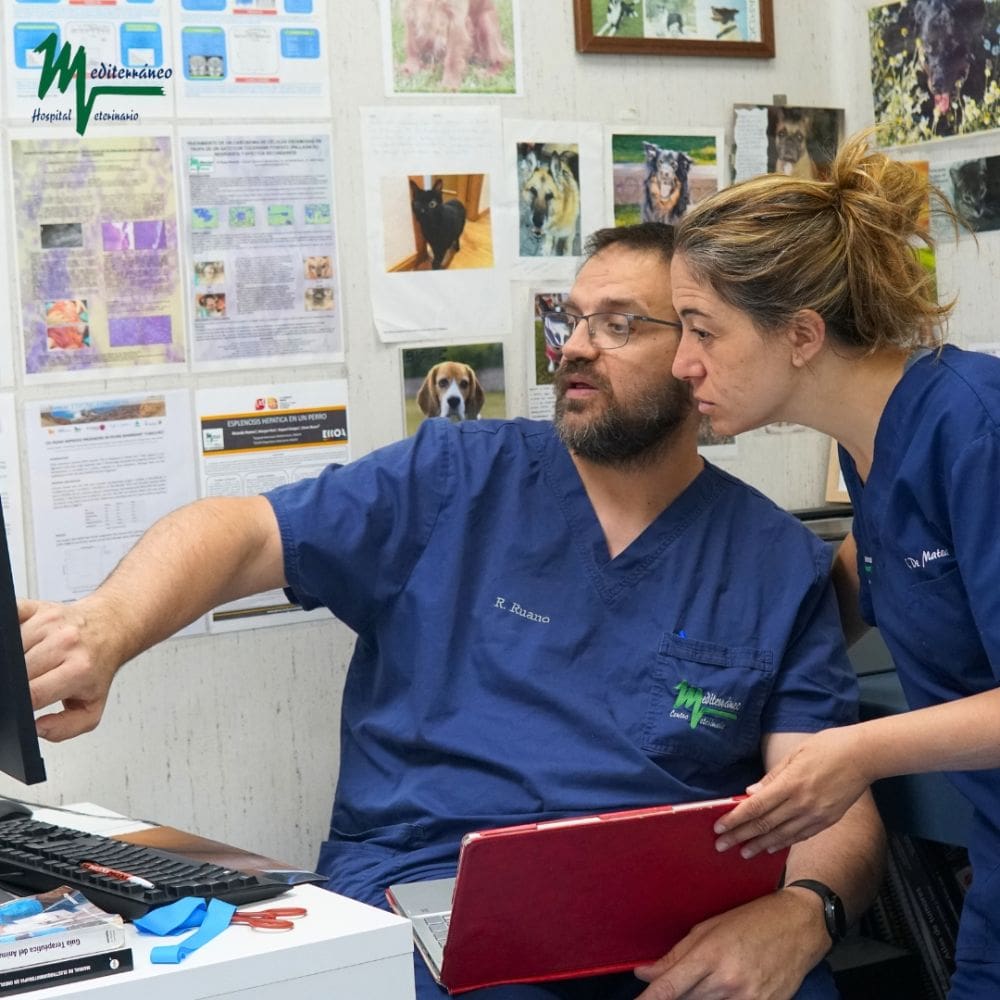 Clinicas Veterinarias – Barrio Salamanca – Milla de2