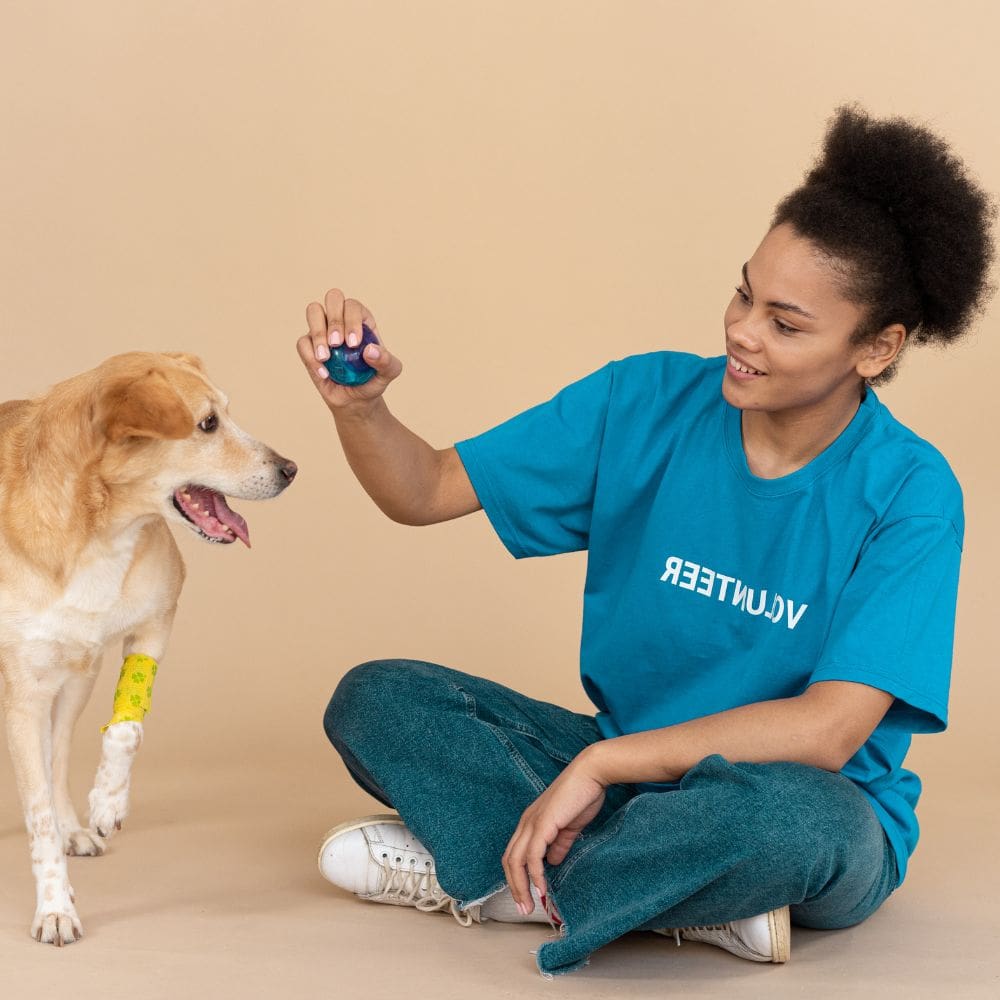 Dias Perros-Residencias Caninas-Milla de Oro-Barrio Salamanca-imagen-5