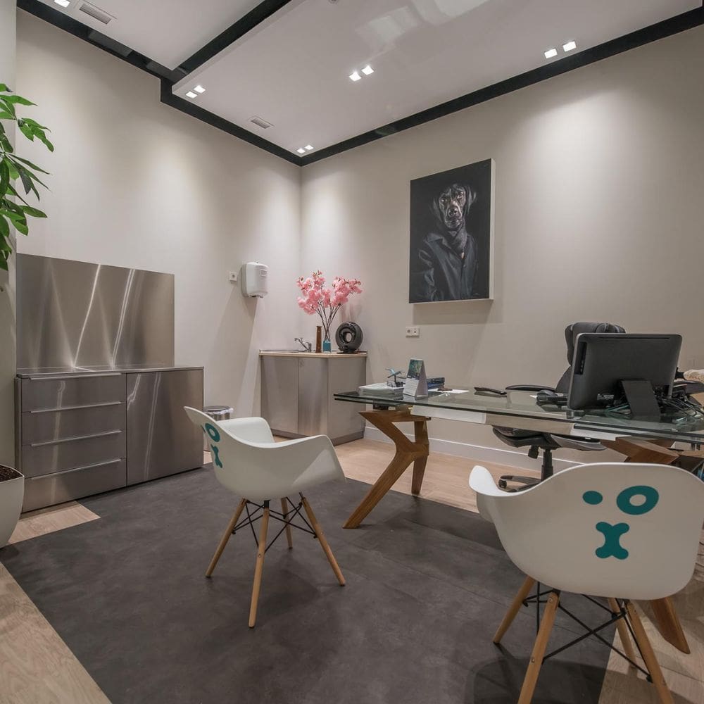 Hospital Veterinario Madrid Clinicas Veterinarias – Imagen 3