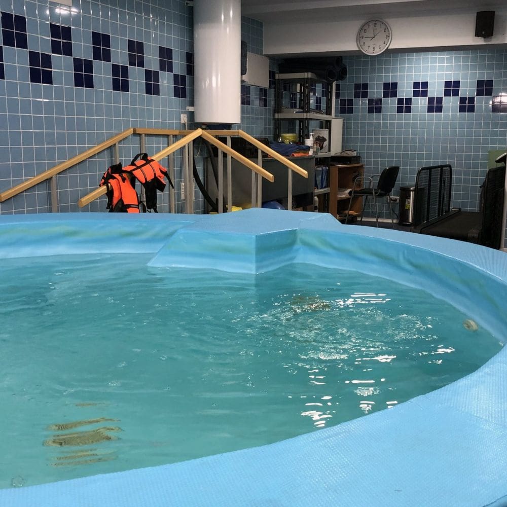 Hospital Veterinario Madrid Clinicas Veterinarias – Imagen 4