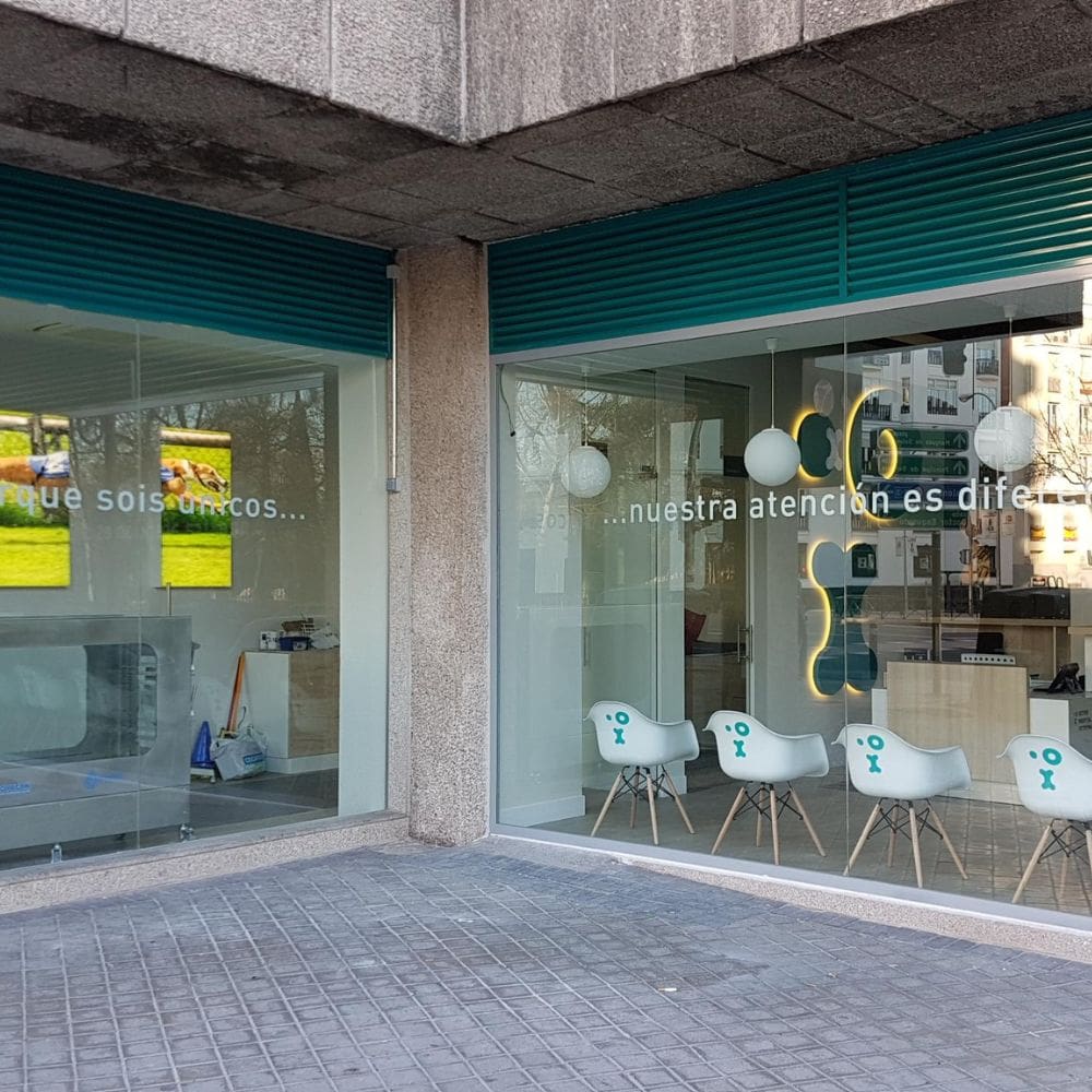 Hospital Veterinario Madrid Clinicas Veterinarias – Imagen 5