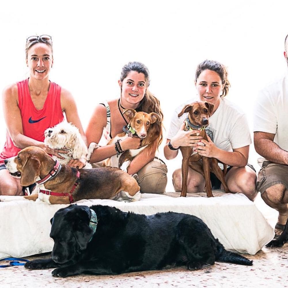 La Perroteca-Residencias Caninas-Milla de Oro-Barrio Salamanca-imagen-1