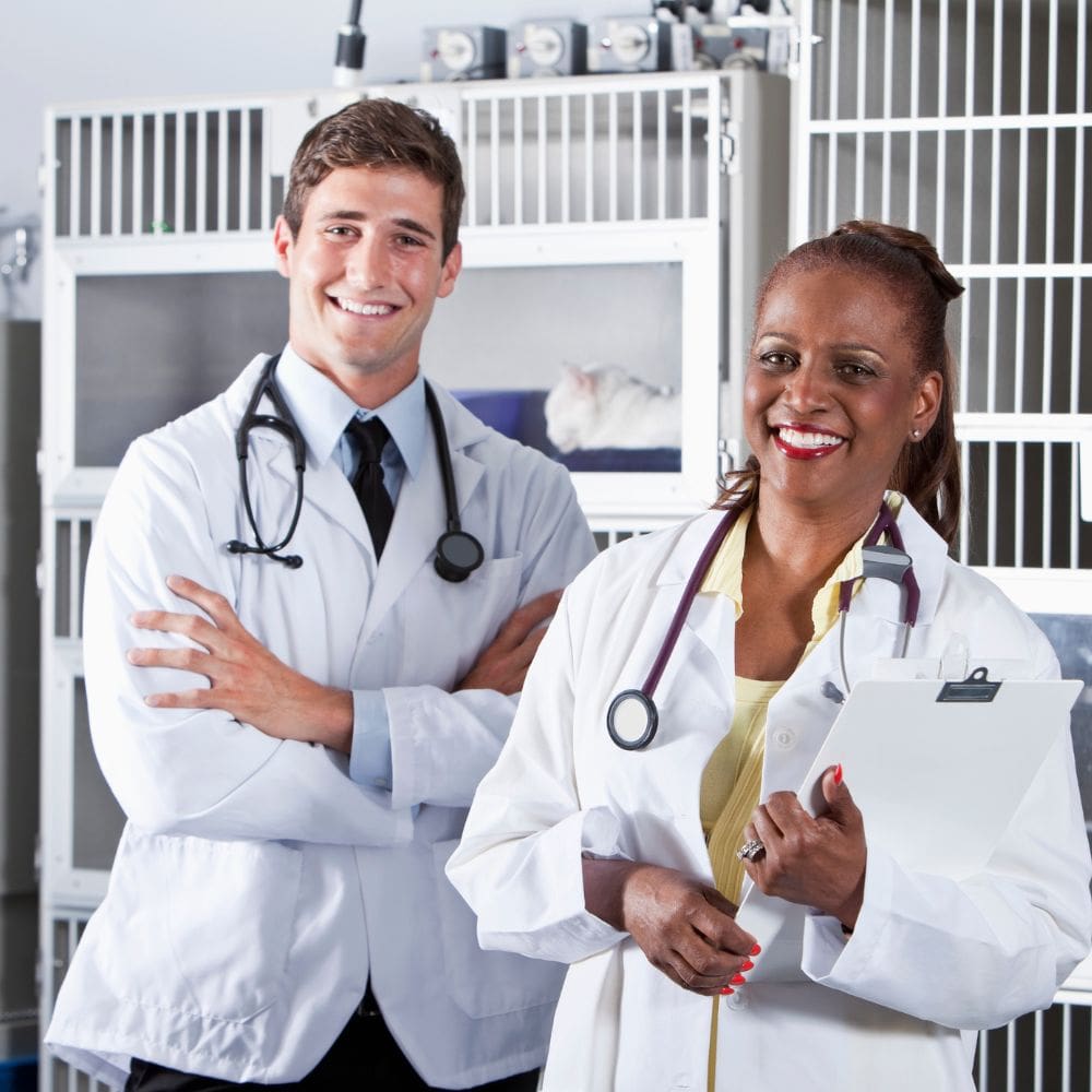 Medivet Los Sauces – Clinicas Veterinarias – Imagen 3