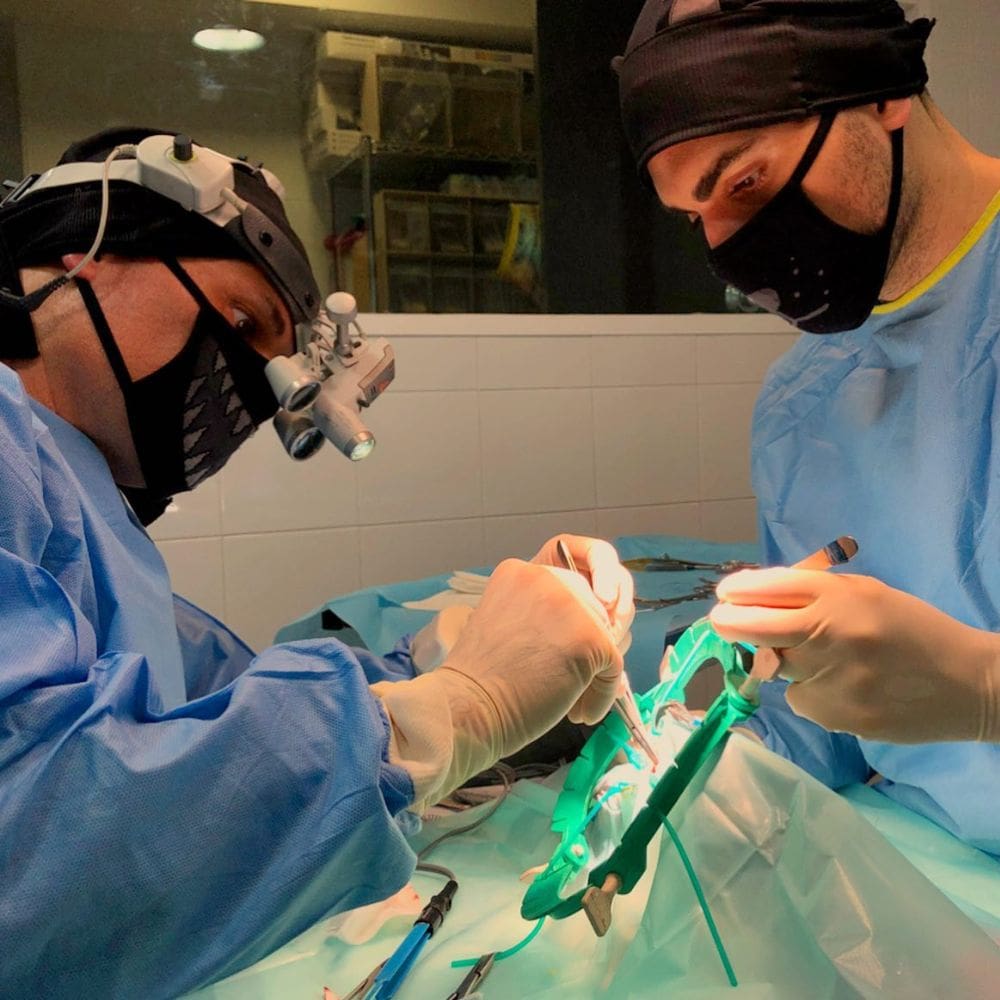 Medivet Los Sauces – Clinicas Veterinarias – Imagen 4