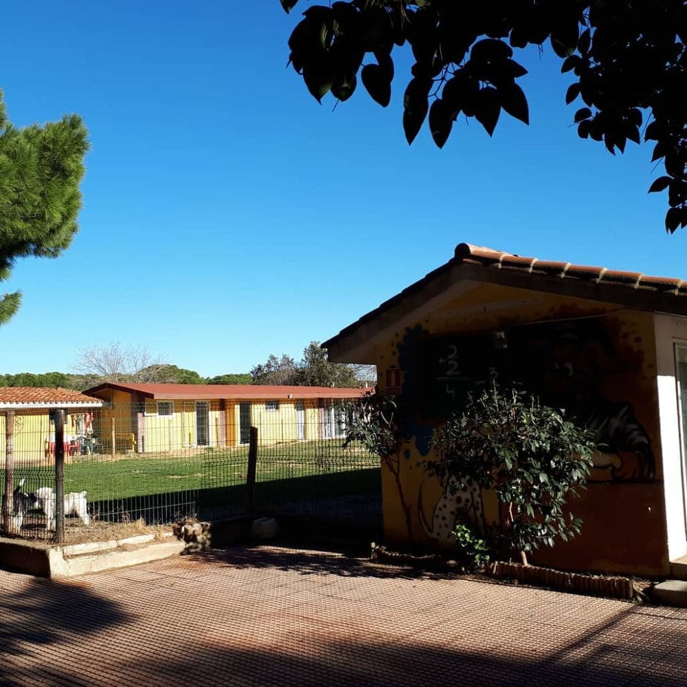 Residencia Canina Malilupus-Residencias Caninas-Milla de Oro-Barrio Salamanca-imagen-1