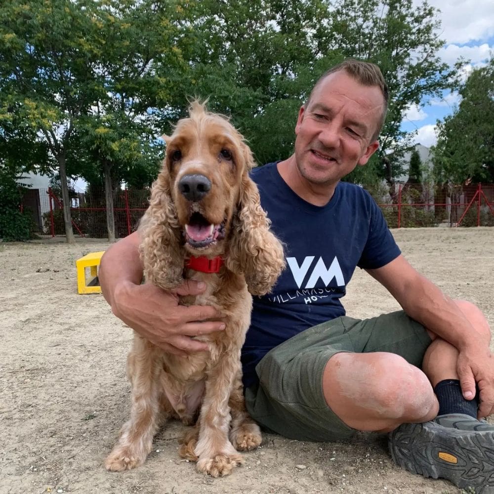 Villamascota Hotel-Residencias Caninas-Milla de Oro-Barrio Salamanca-imagen-2