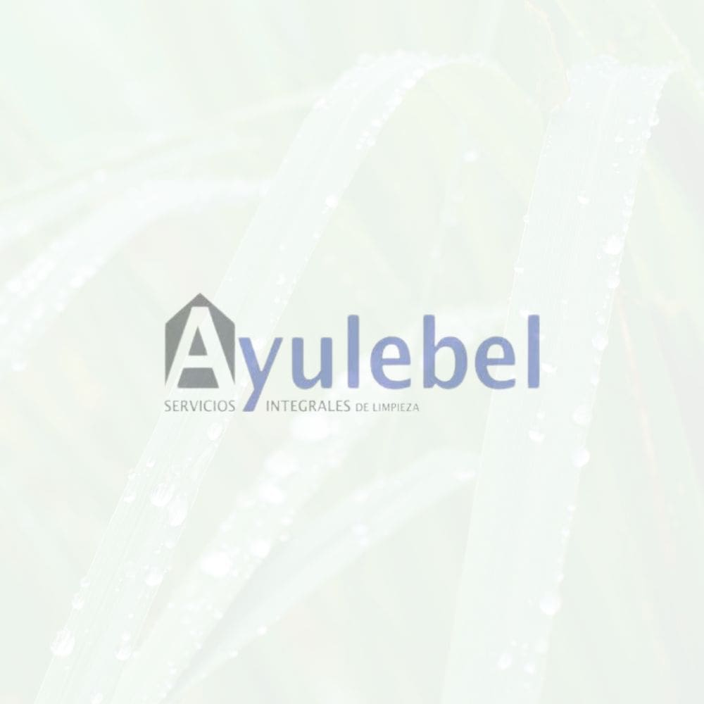 Ayulebel – madrid-Jardineria-Milla de Oro-Barrio Salamanca-imagen-1