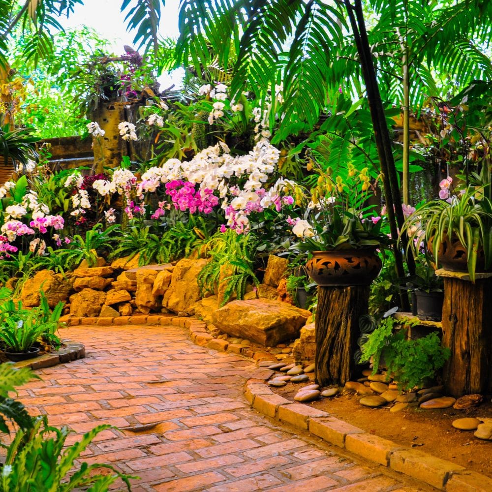 Ayulebel – madrid-Jardineria-Milla de Oro-Barrio Salamanca-imagen-4