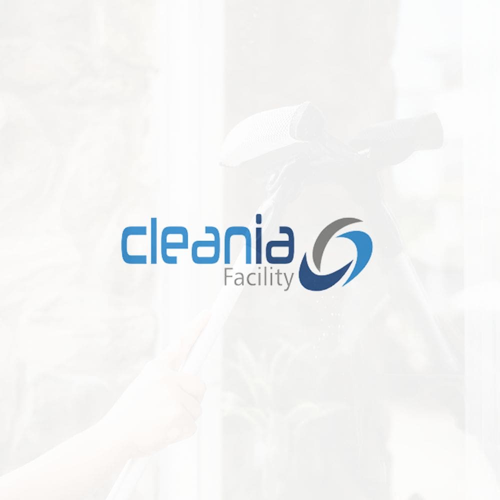 Cleania Facility-Mantenimiento De Hogar-Milla de Oro-Barrio Salamanca-imagen-1