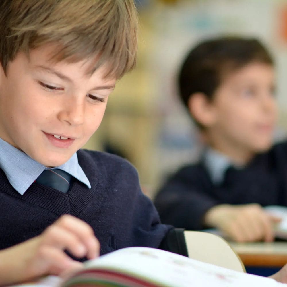 Colegio de Fomento Aldovea -Colegios Privados-Milla de Oro-Barrio Salamanca-imagen-5