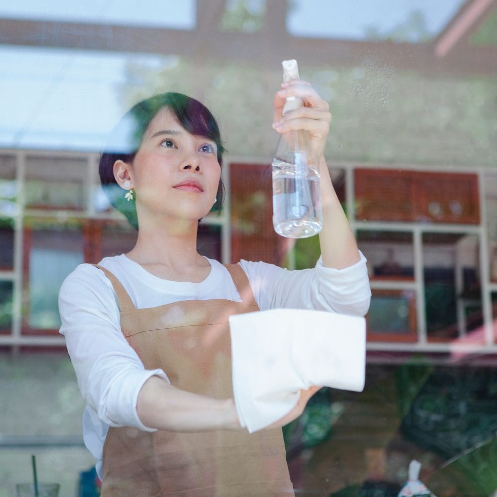 Fortuny Servicios-Empleadas De Servicio-Milla de Oro-Barrio Salamanca-imagen-4