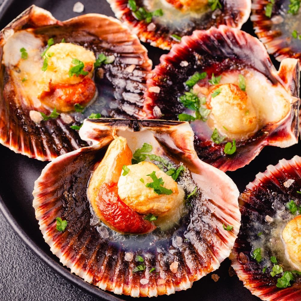 La Penela Moraleja – La moraleja – milla de oro – barrio de salamanca – imagen 2