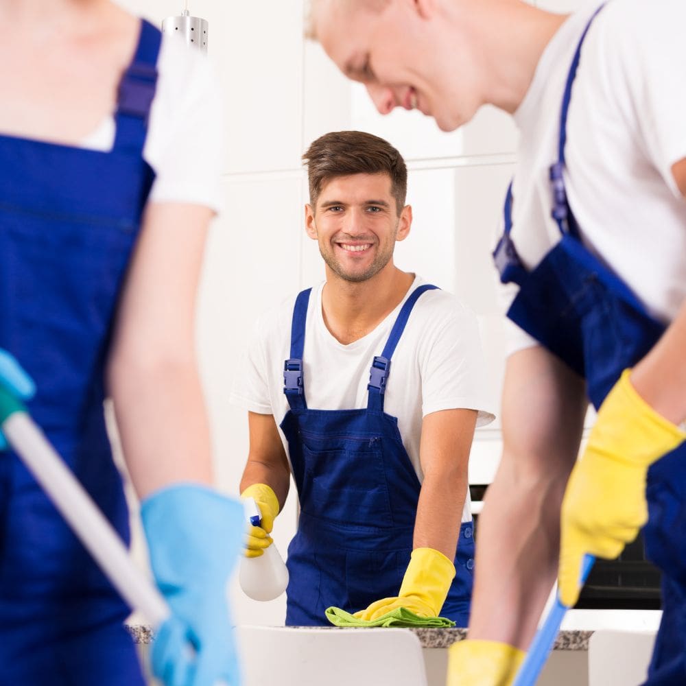 Limpieza profesional Madrid – Grupo Blover-Mantenimiento De Hogar-Milla de Oro-Barrio Salamanca-imagen-3