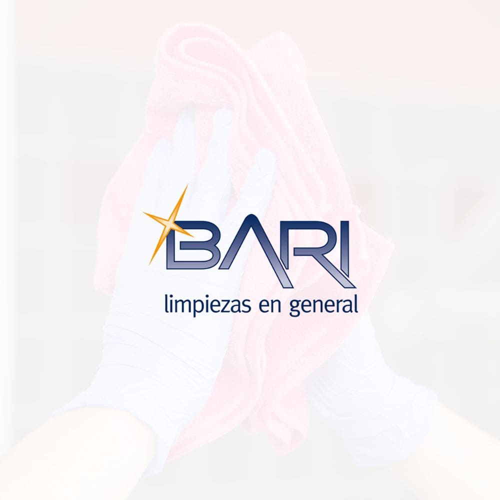 Limpiezas Bari-Mantenimiento De Hogar-Milla de Oro-Barrio Salamanca-imagen-1