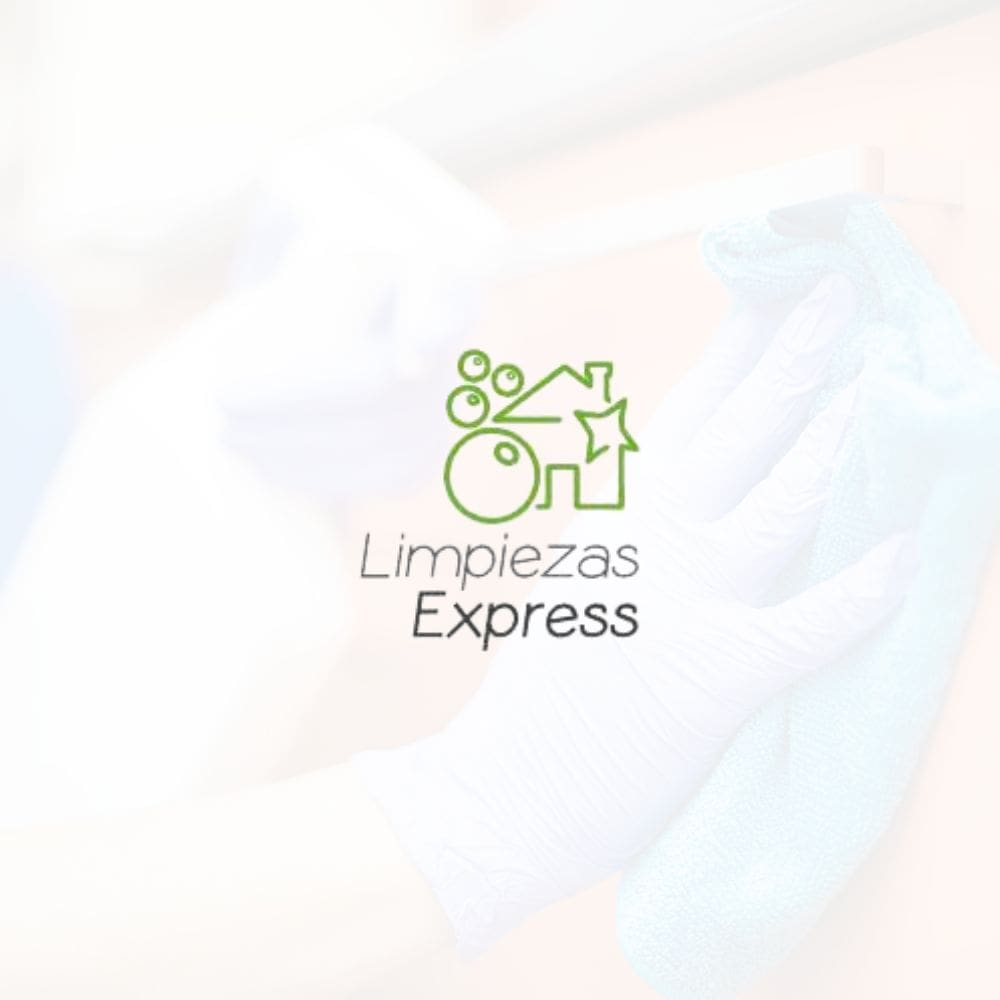 Limpiezas Express-Mantenimiento De Hogar-Milla de Oro-Barrio Salamanca-imagen-1