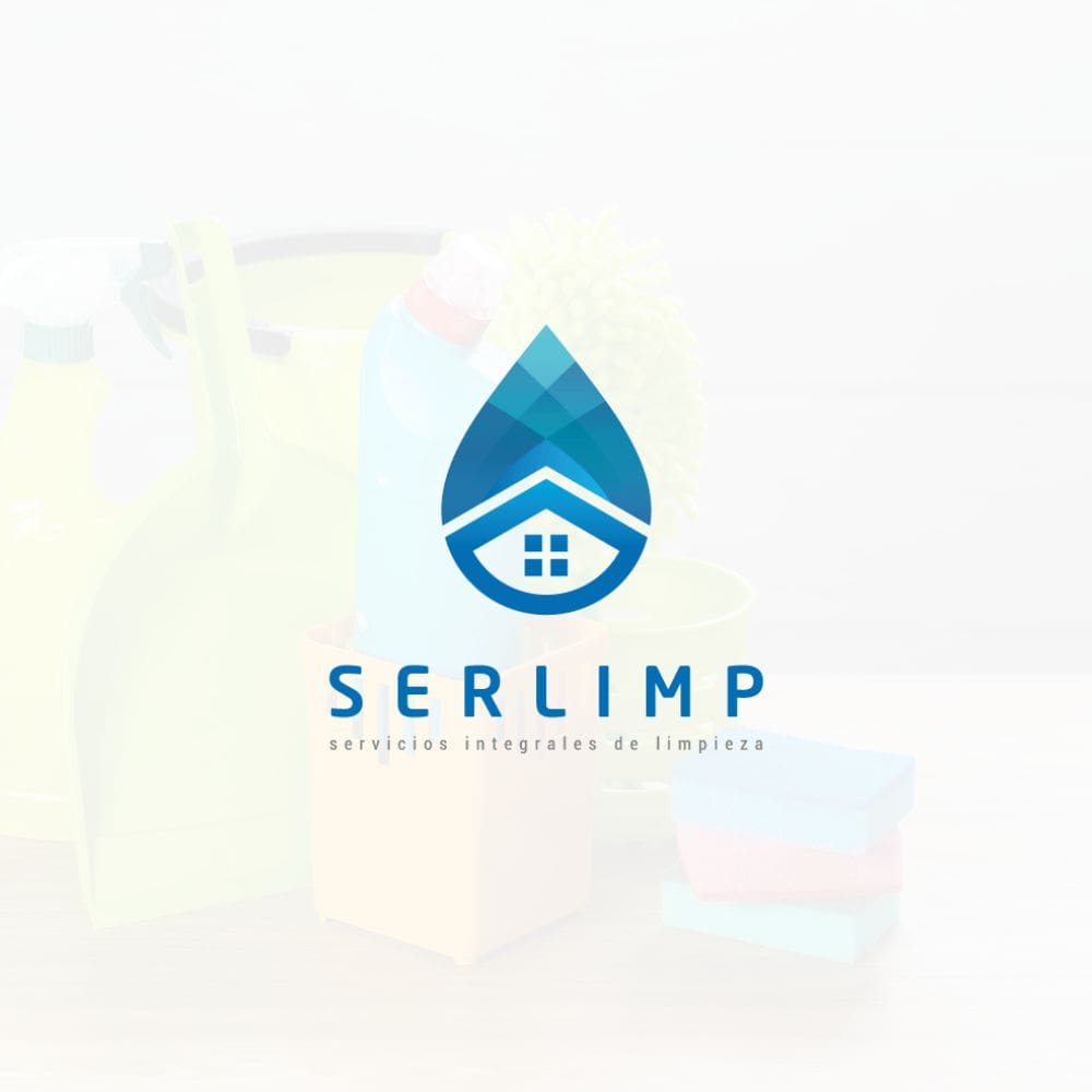 Limpiezas Serlimp-Mantenimiento De Hogar-Milla de Oro-Barrio Salamanca-imagen-1