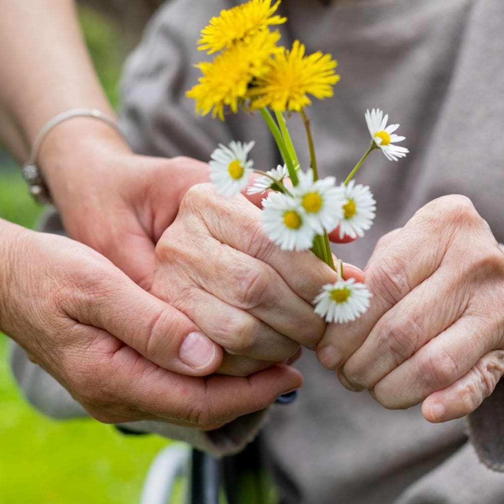 Mayores Vida-Cuidado De Personas Mayores-Milla de Oro-Barrio Salamanca-imagen-5