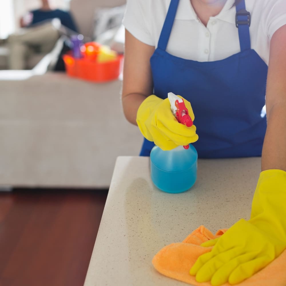 NL Hogar Agencia-Empleadas De Servicio-Milla de Oro-Barrio Salamanca-imagen-3