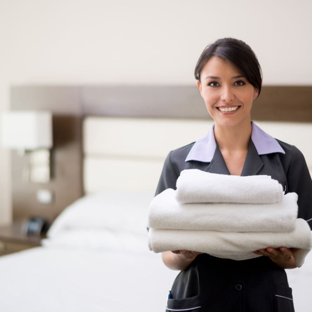 Pilar Segura Servicios-Empleadas De Servicio-Milla de Oro-Barrio Salamanca-imagen-2