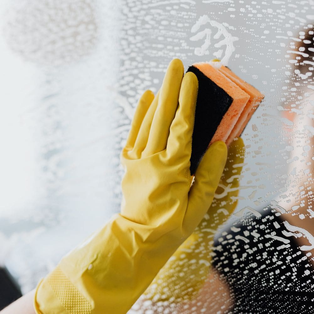 Servicios Domesticos Quality-Mantenimiento De Hogar-Milla de Oro-Barrio Salamanca-imagen-4