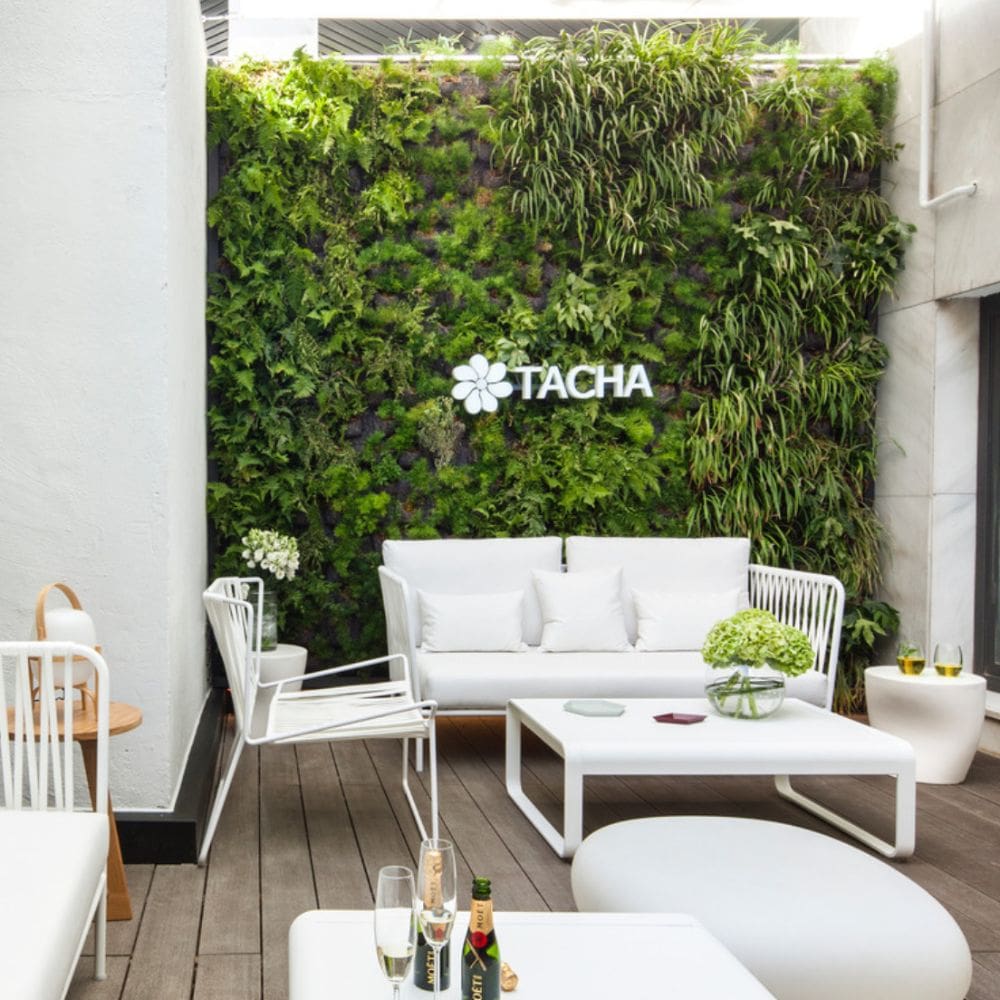 Tacha Beauty-Peluquerias De Moda Y Lujo-Milla de Oro-Barrio Salamanca-imagen-3