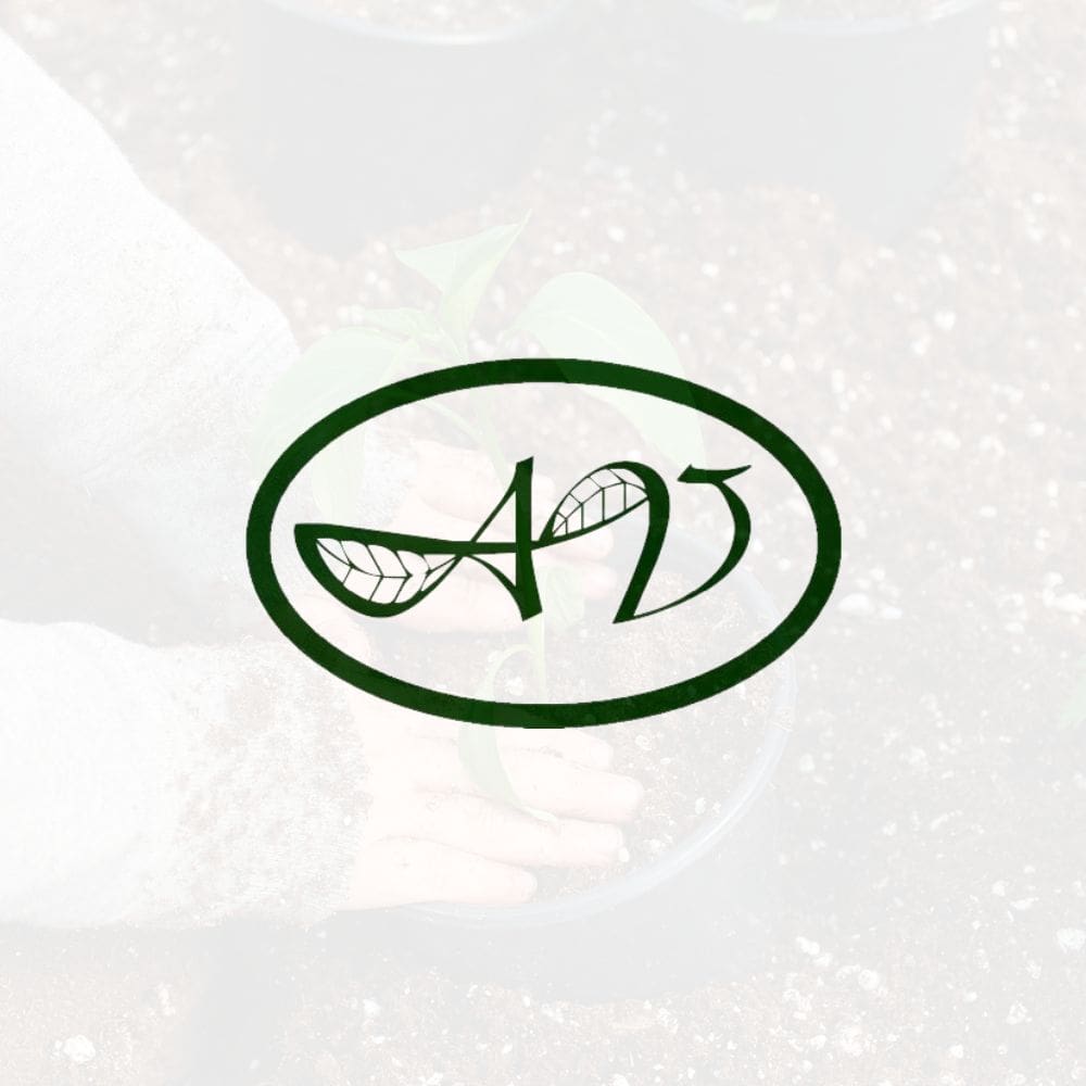 Arquitectura Vegetal S.L.-Jardineria-Milla de Oro-Barrio Salamanca-imagen-1