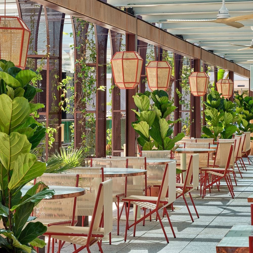 Boral Torcuato Rooftop-Restaurantes Barrio Salamanca-Milla de Oro-imagen-2