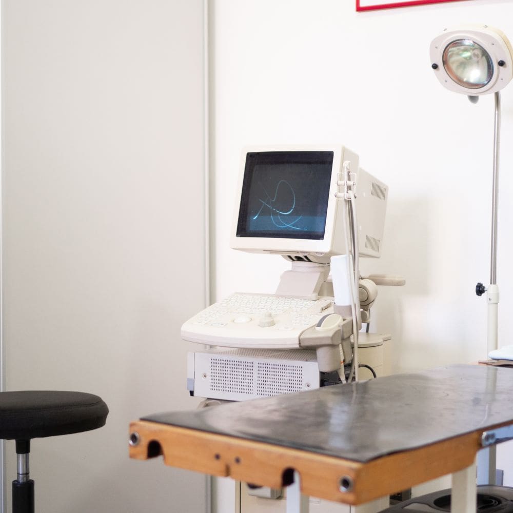 Clínica Veterinaria Ayala-Centro Veterinarios-Milla de Oro-Barrio Salamanca-imagen-1