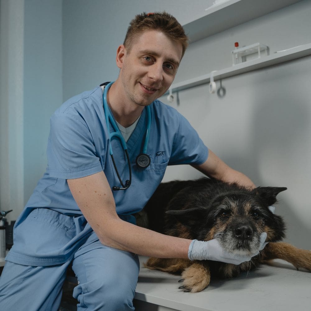 Clínica Veterinaria Neva-Centro Veterinarios-Milla de Oro-Barrio Salamanca-imagen-4