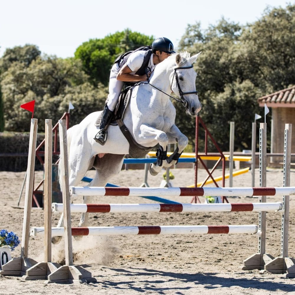 Club Las Encinas de Boadilla-Clubs Sociales y deportivos-Milla de Oro-Barrio Salamanca-imagen-2