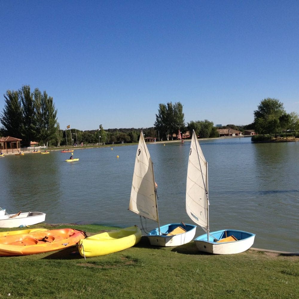 Club Las Encinas de Boadilla-Clubs Sociales y deportivos-Milla de Oro-Barrio Salamanca-imagen-5