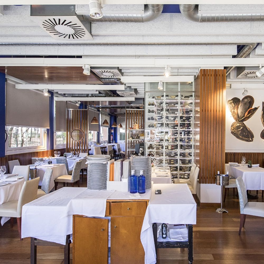 El Barril de La Moraleja- La moraleja – milla de oro – imagen 2