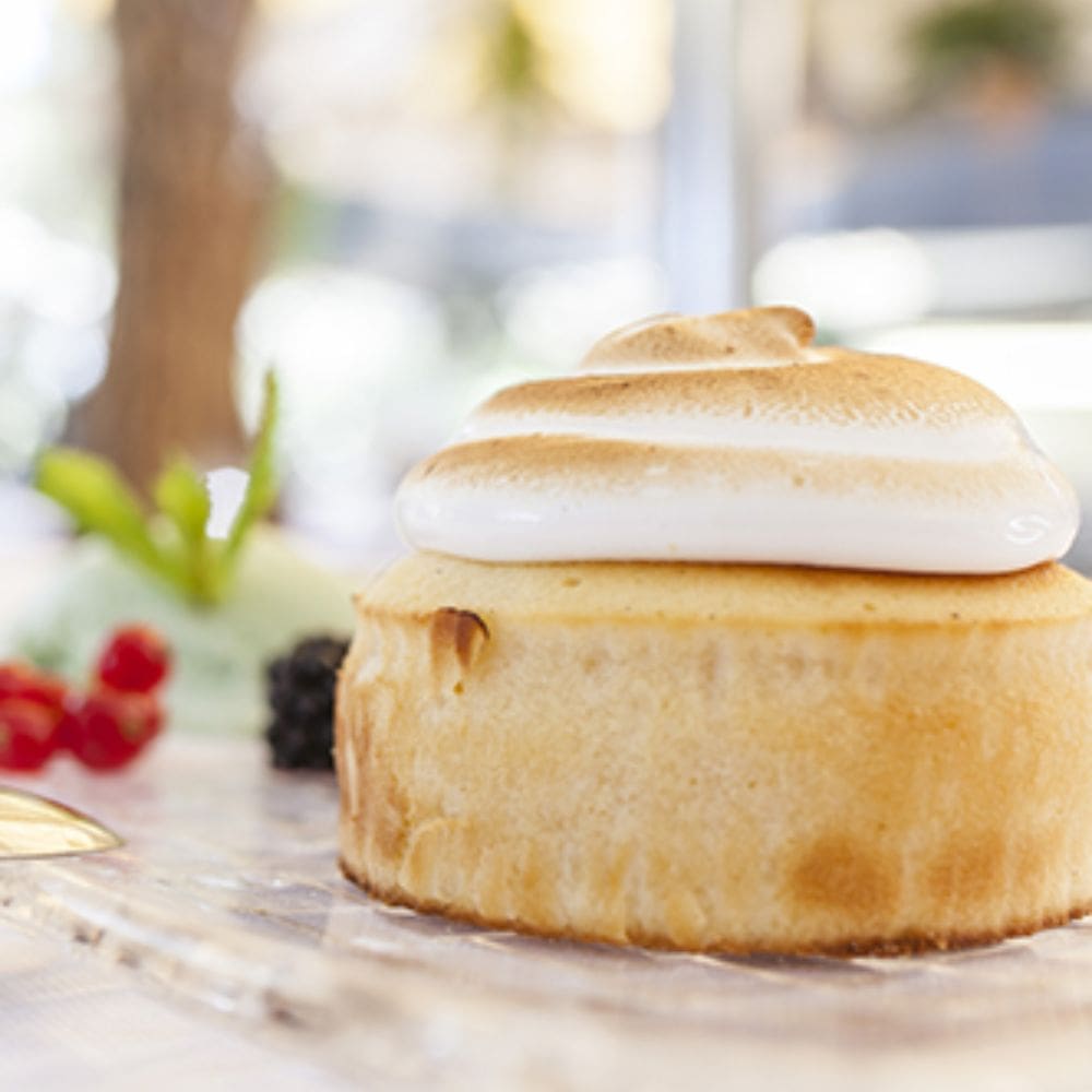 El Barril de La Moraleja- La moraleja – milla de oro – imagen 4