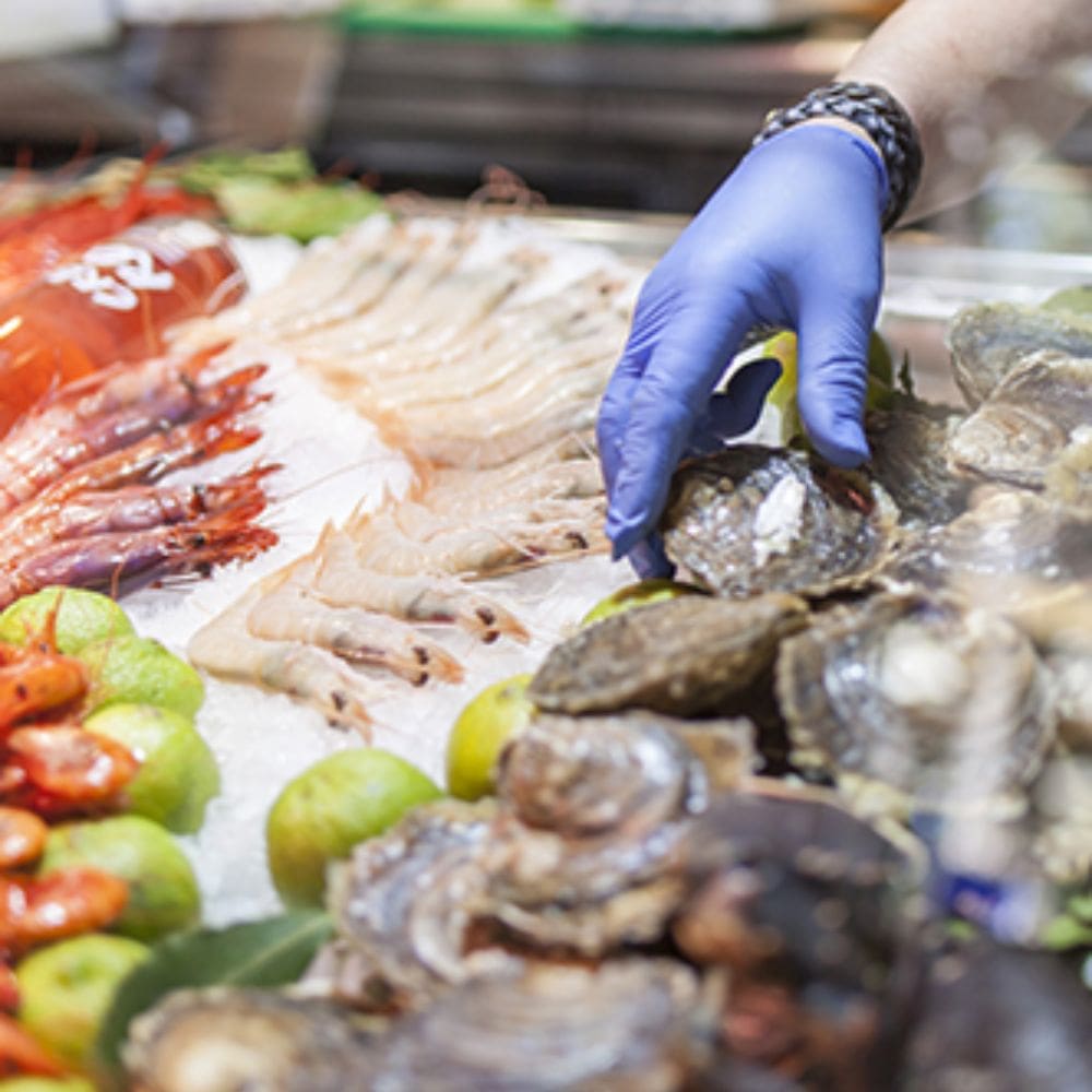 El Barril de La Moraleja- La moraleja – milla de oro – imagen 5