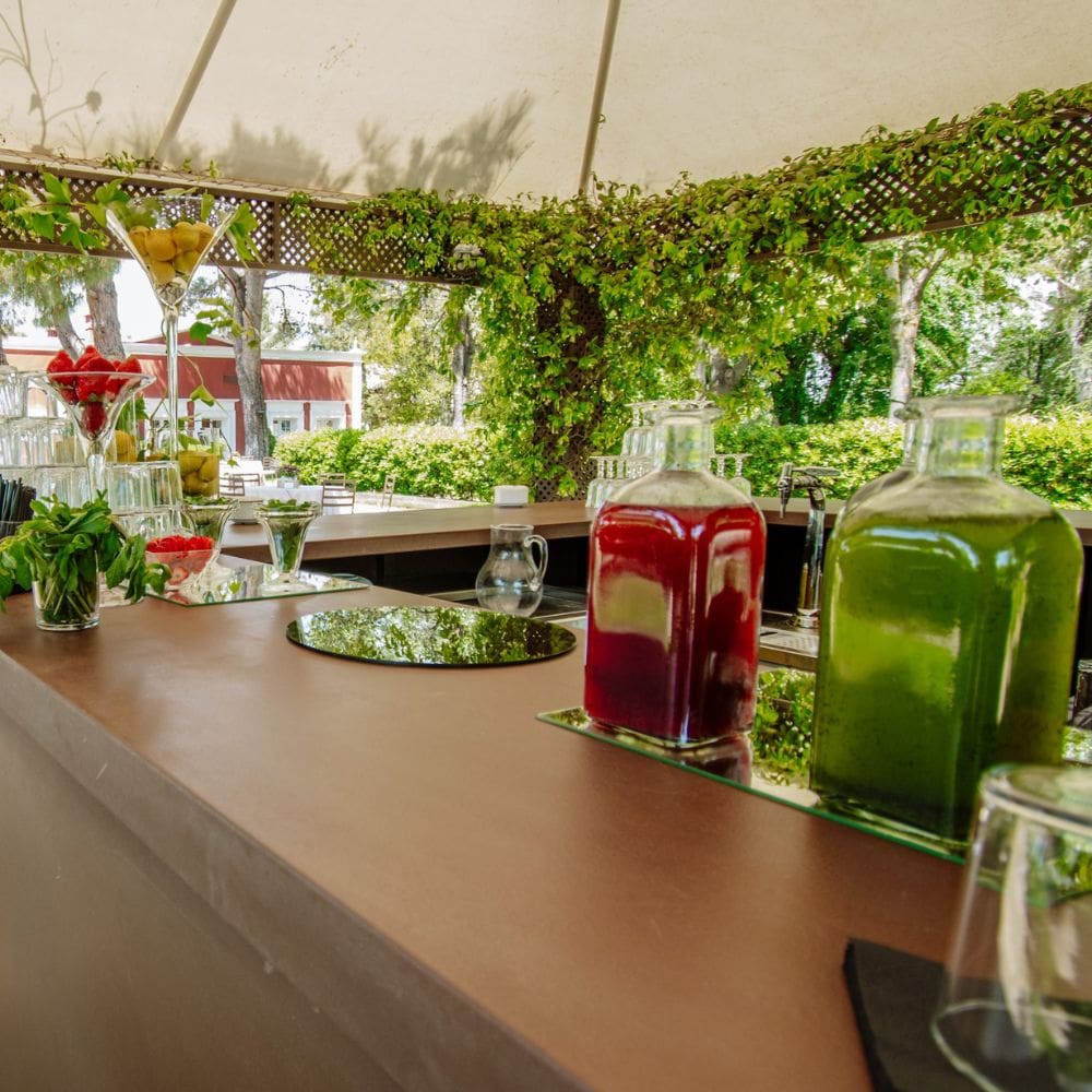 Finca La Muñoza-de-Celebraciones-Milla-de-Oro-Barrio-Salamanca-Imagen-5