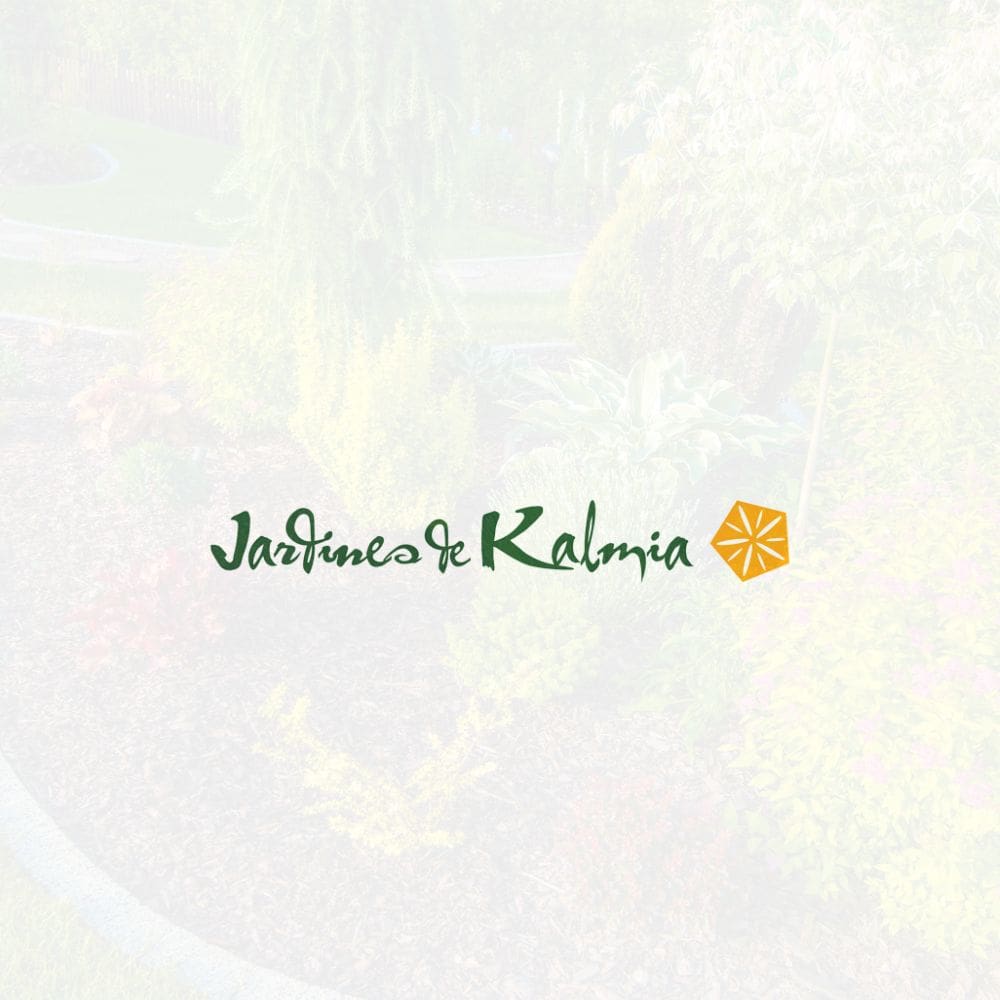 Jardines de Kalmia S.L-Jardineria-Milla de Oro-Barrio Salamanca-imagen-1
