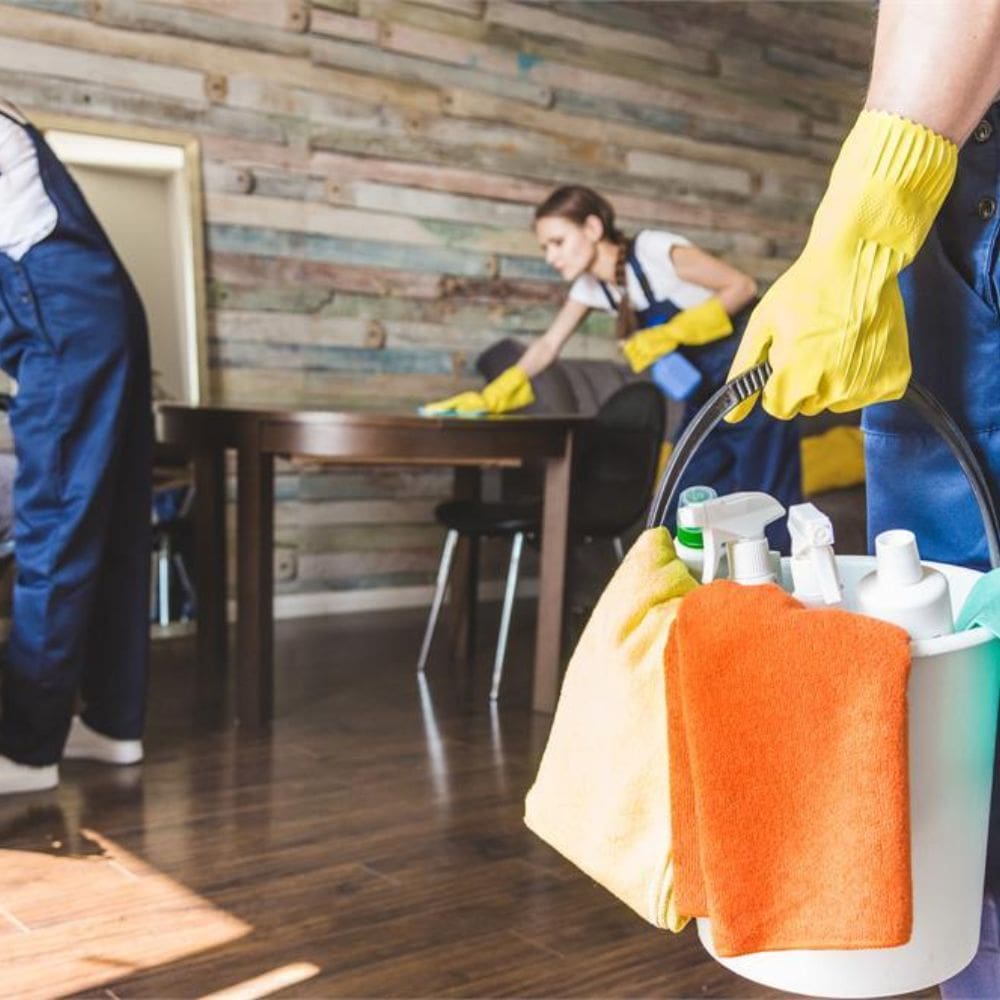 Limpiezas SIL-Mantenimiento De Hogar-Milla de Oro-Barrio Salamanca-imagen-4