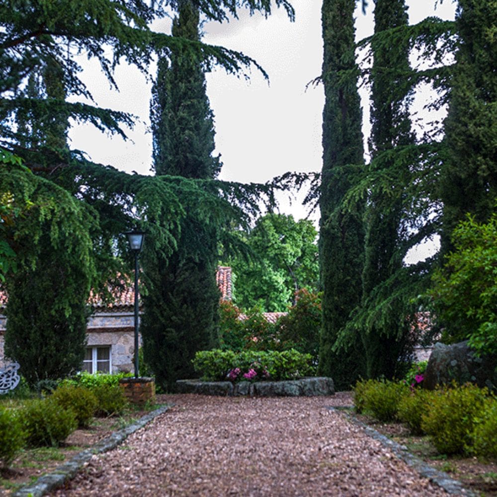 Molino Tornero-Salones-de-Celebraciones-Milla-de-Oro-Barrio-Salamanca-Imagen-5