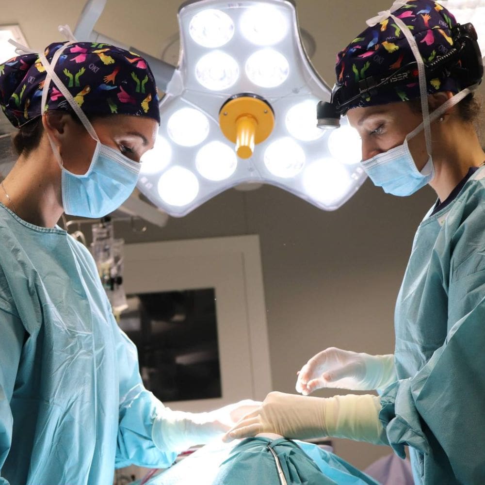 Pilar de Frutos Cirugia Plastica Estetica – Barrio Salamanca – Milla de Oro – imagen 1