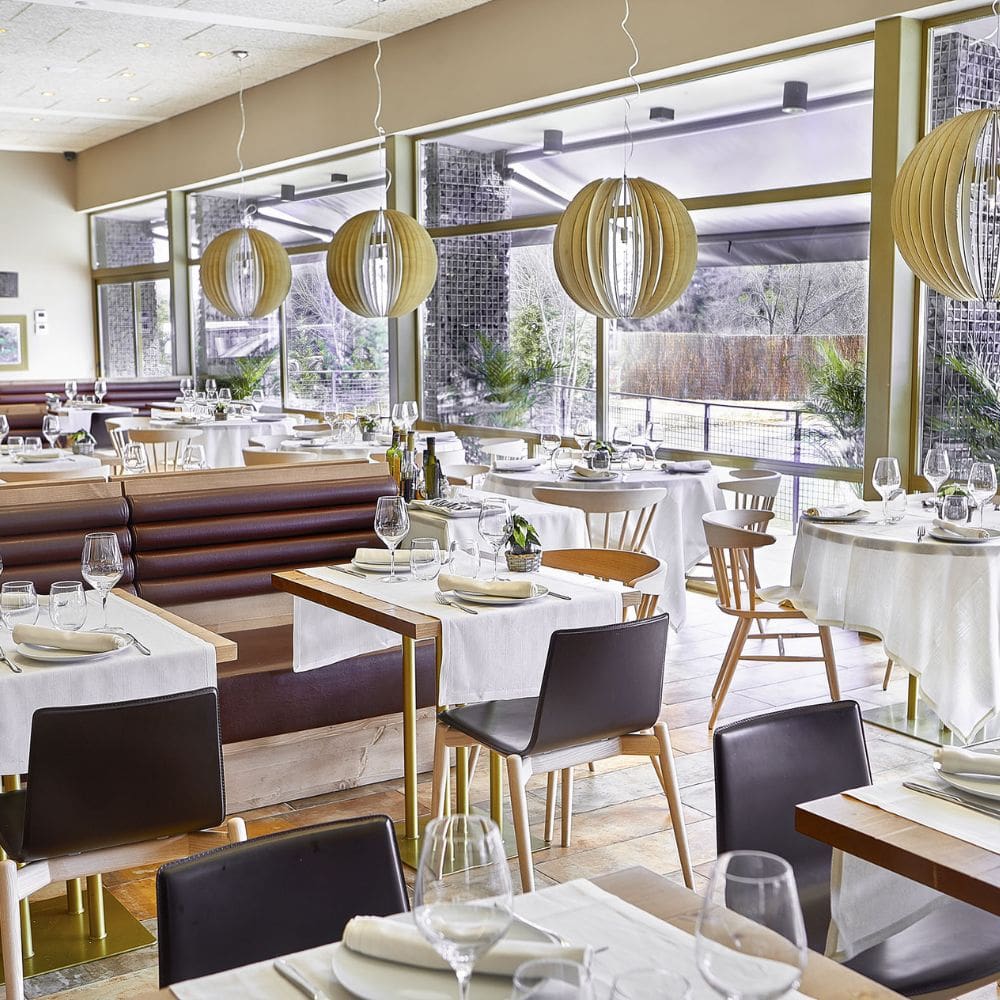 Txoko La Moraleja- La moraleja – milla de oro – imagen 1