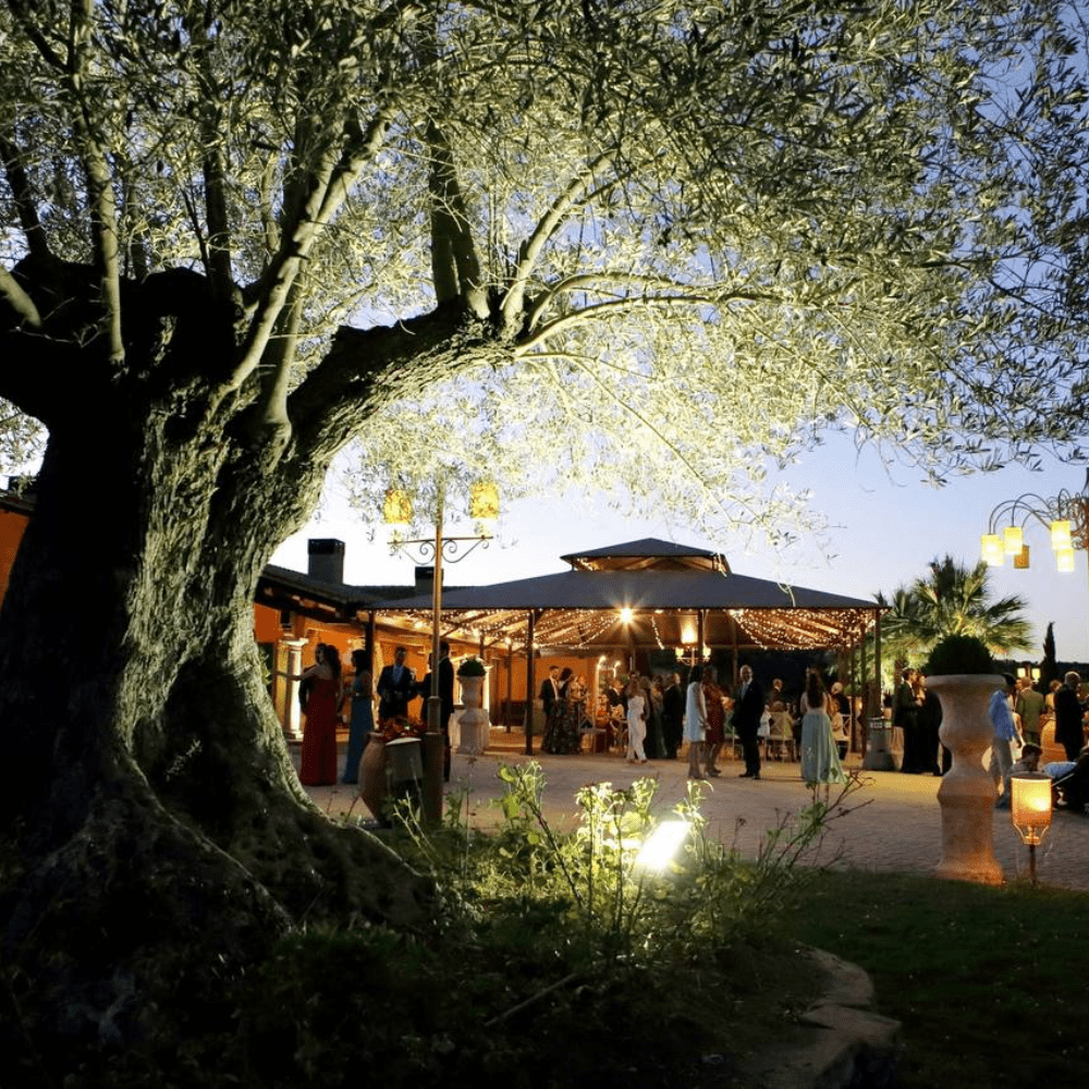 Valquijancho de Araceli-Salones-de-Celebraciones-Milla-de-Oro-Barrio-Salamanca-Imagen-2