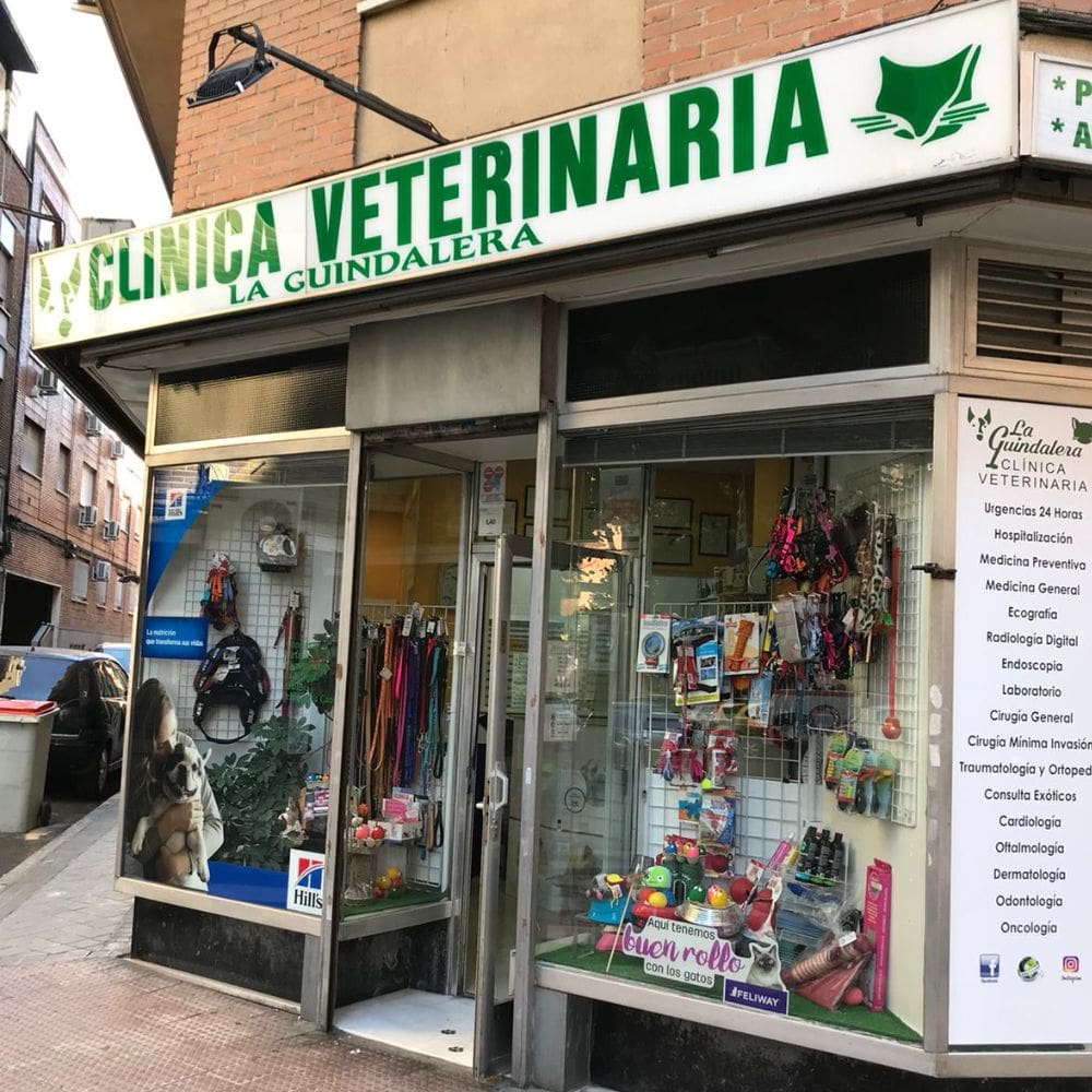 Veterinario La Guindalera-Centro Veterinarios-Milla de Oro-Barrio Salamanca-imagen-1