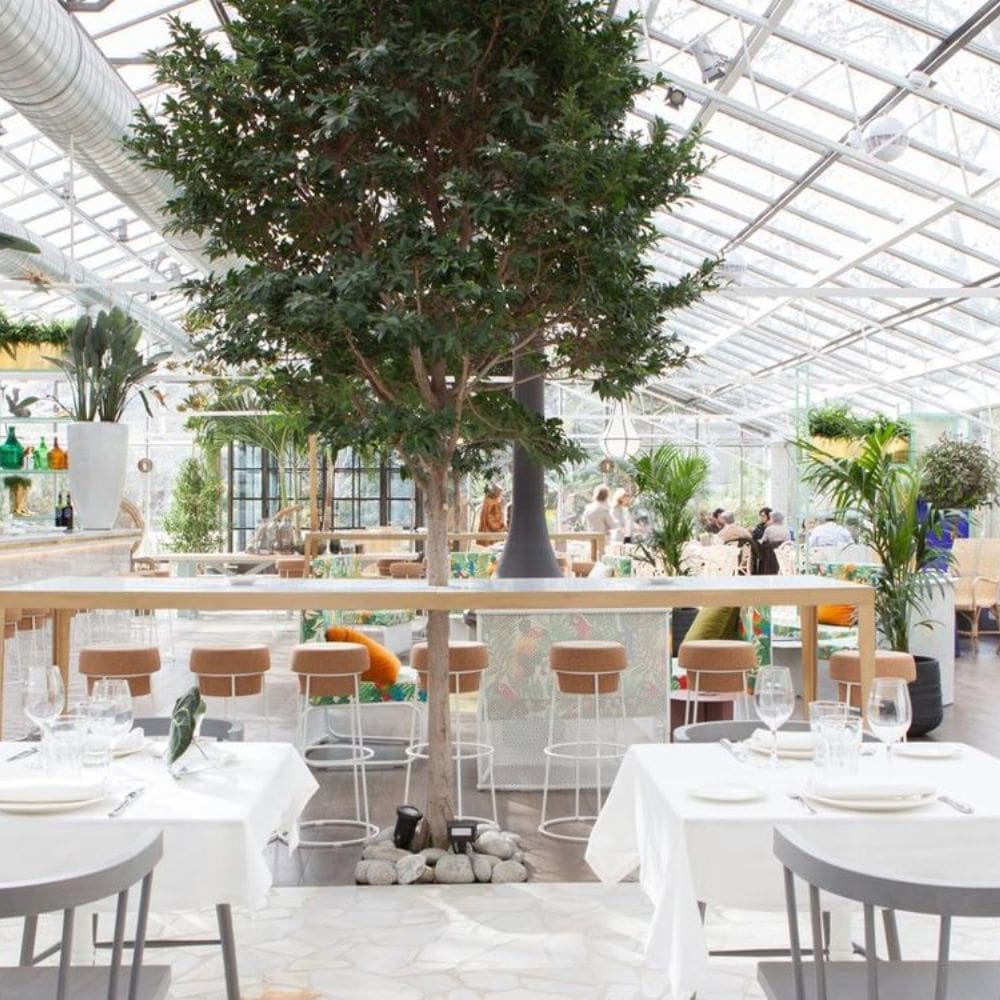 l Invernadero de Los Peñotes – La moraleja – milla de oro – imagen 2