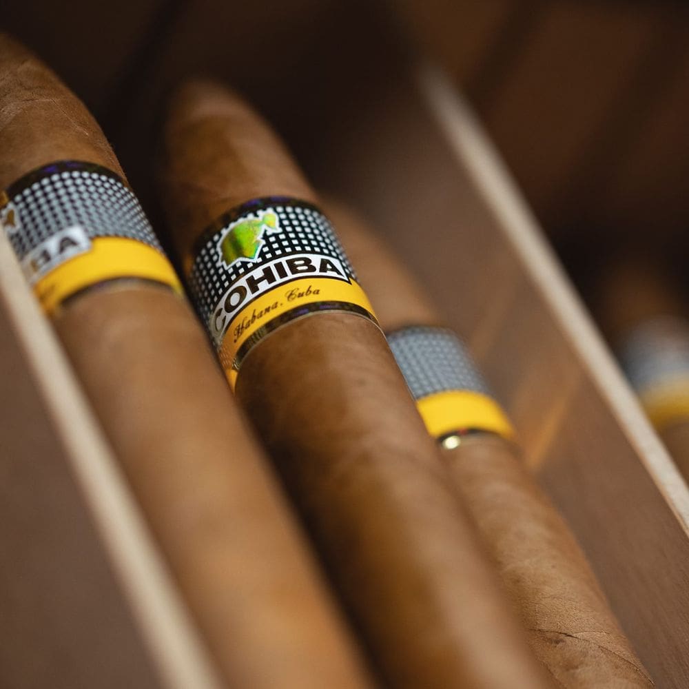 Club Pasión Habanos-Clubs Privados Alto Standing-Milla de oro-Madrid-5