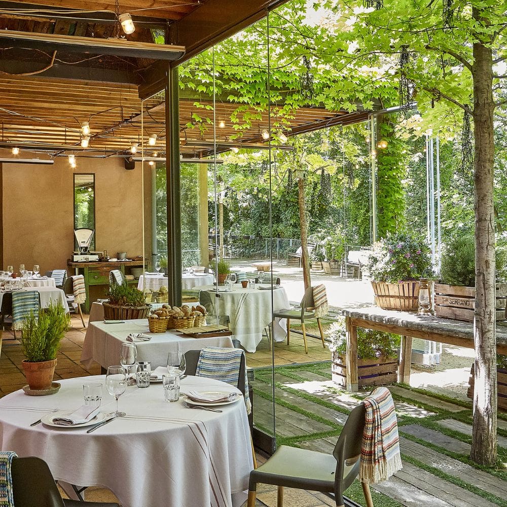 Filandón-Restaurantes Barrio Salamanca-Milla de Oro-imagen-2