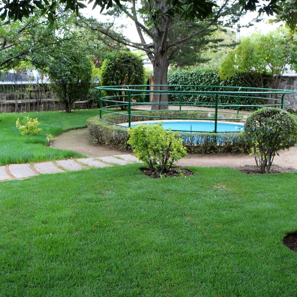 Residencial Los Robles Gerhoteles-Residencias Tercera Edad-Madrid-Comunida de Madrid-4